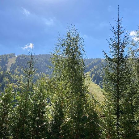 Ski View Studio - Near The Ski Slopes อาซูกา ภายนอก รูปภาพ