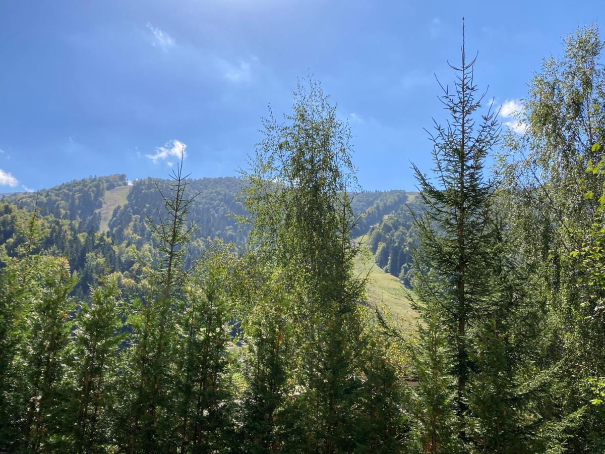 Ski View Studio - Near The Ski Slopes อาซูกา ภายนอก รูปภาพ